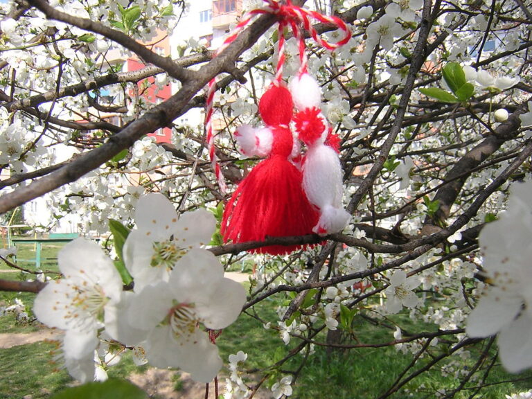 1200px-Martenitsa-blossom