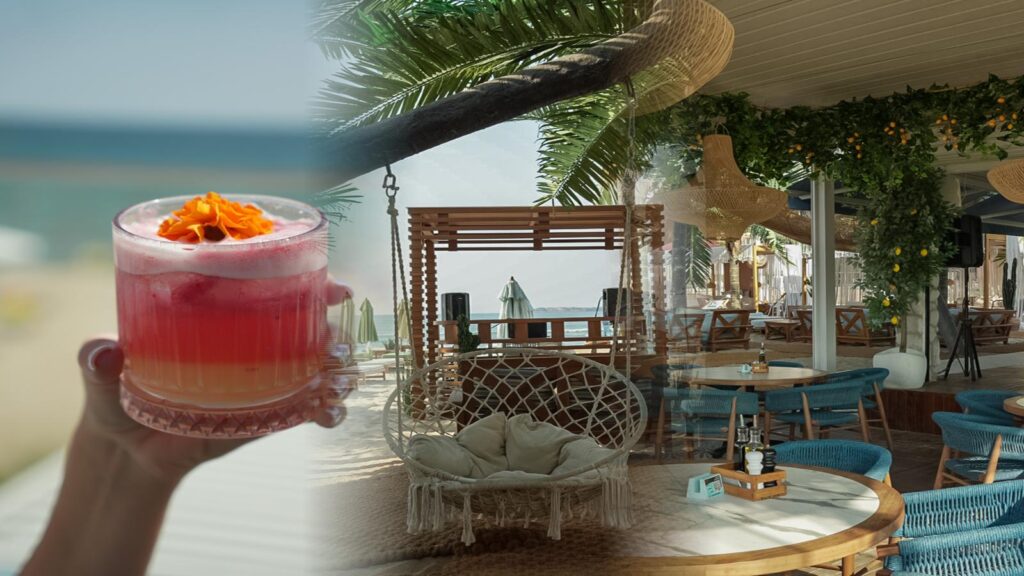 luxury_dolphin_collage_16_9_blended